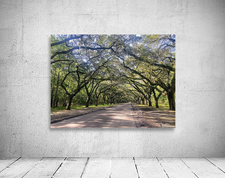 dirt road Wall Preview