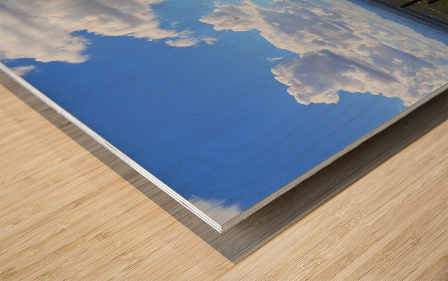 Sonoran desert scape Wood print