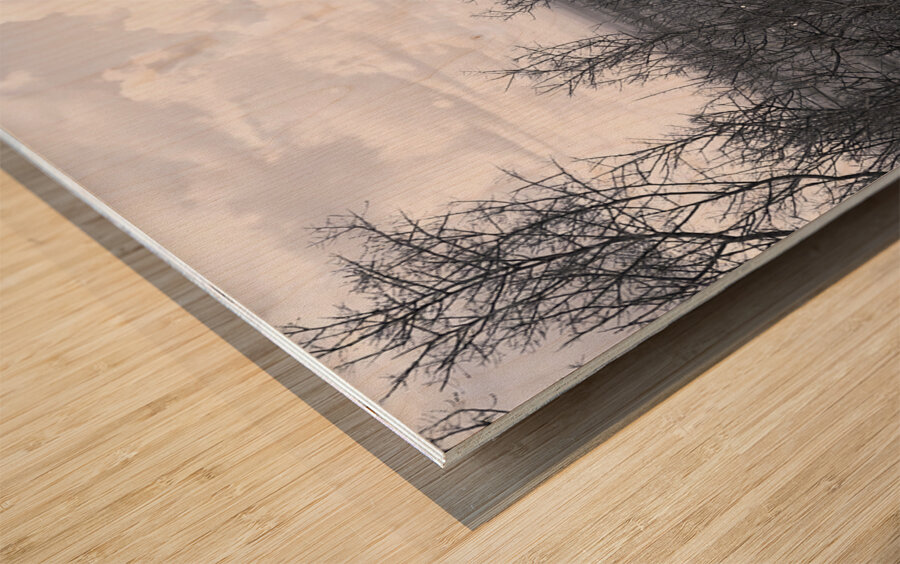Saguaro Wood print