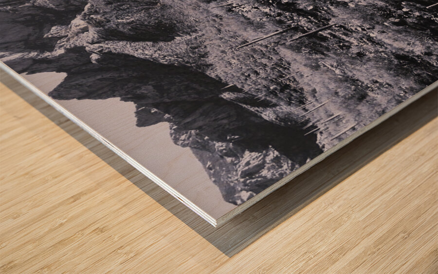 44961 Wood print