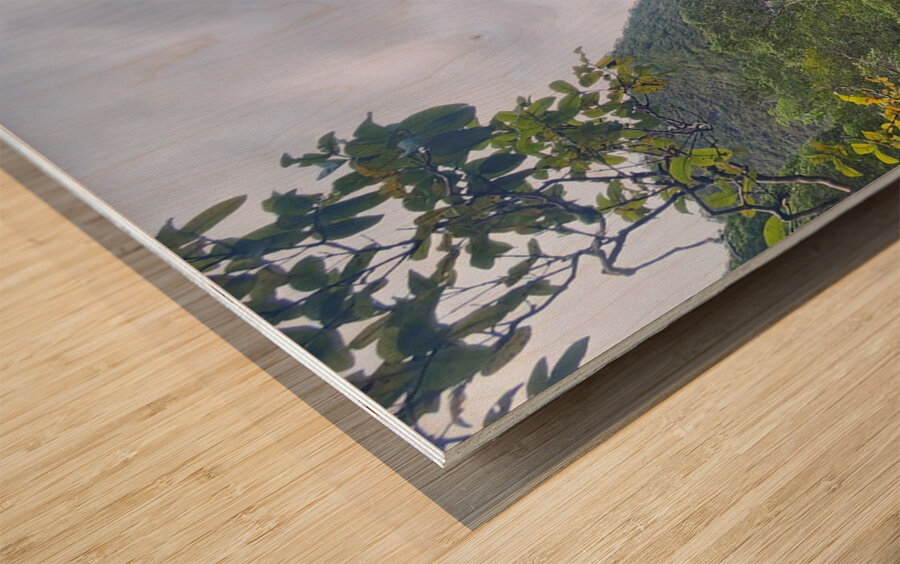 Calming serenity  Wood print