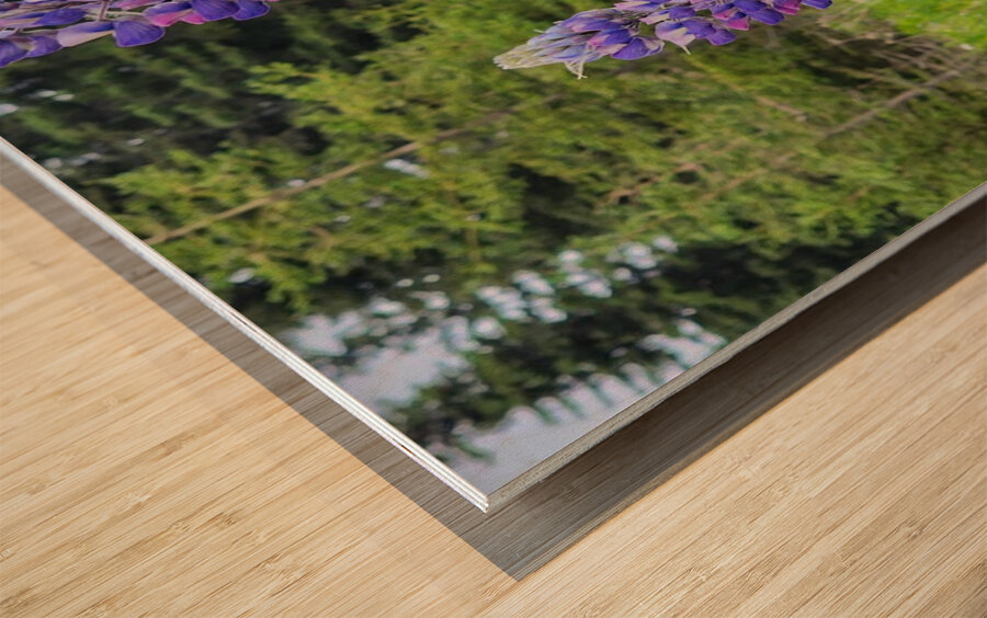 20250615 052010 Wood print