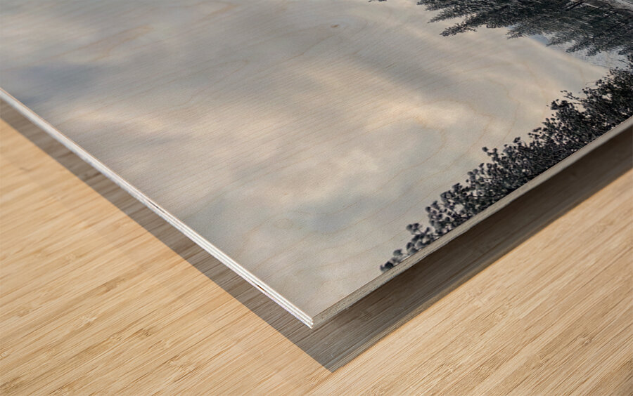 snowy creek  Wood print