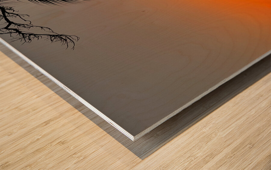 tropical sunset  Wood print