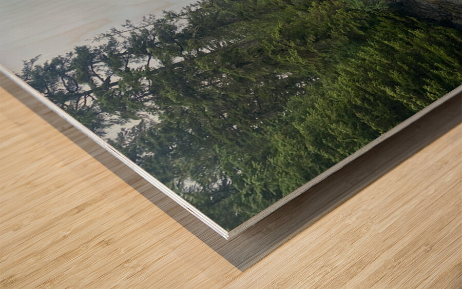 driftwood Wood print