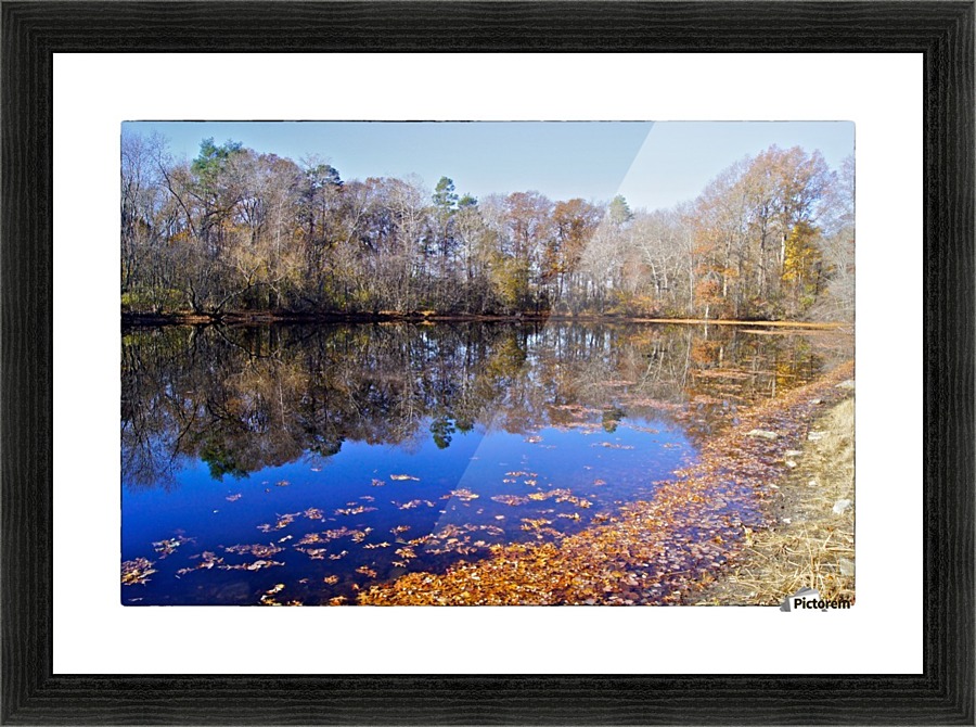 November Pond Picture Frame print