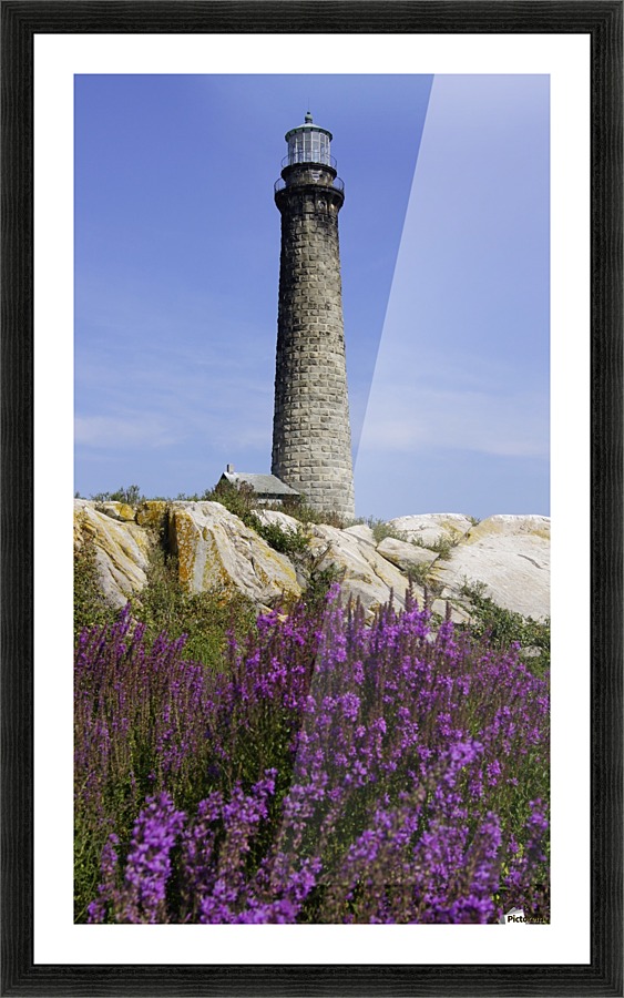 Thatcher Island Light  Picture Frame print