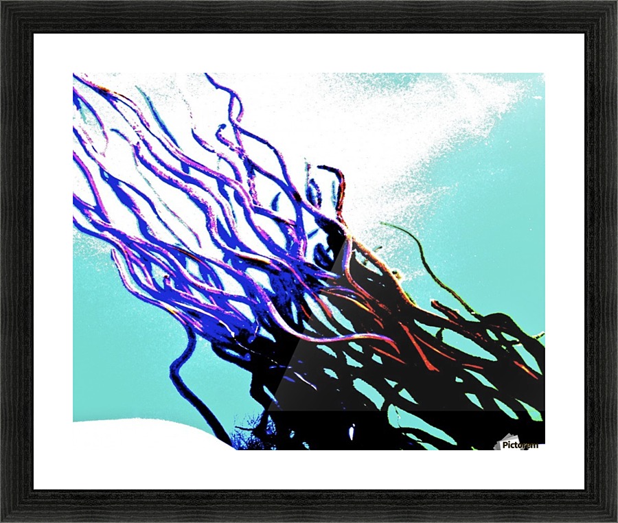 Rockweed I Picture Frame print