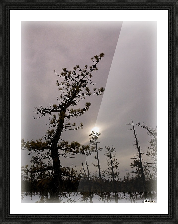 Winter sky Picture Frame print