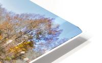 November Pond HD Metal print