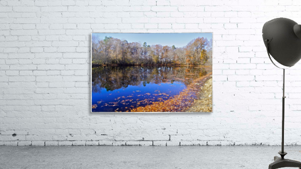 November Pond Wall Preview