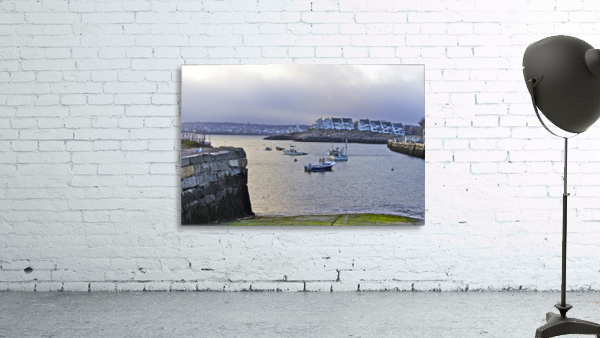 Safe Harbor Wall Preview