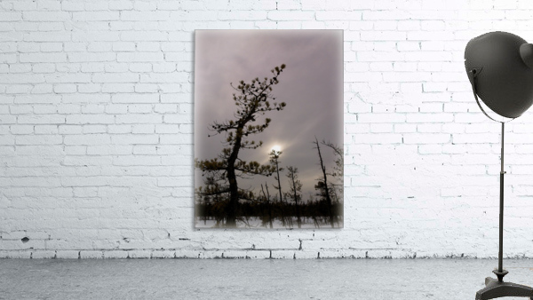 Winter sky Wall Preview