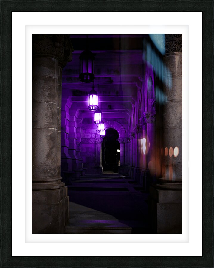 Purple Reign  Picture Frame print