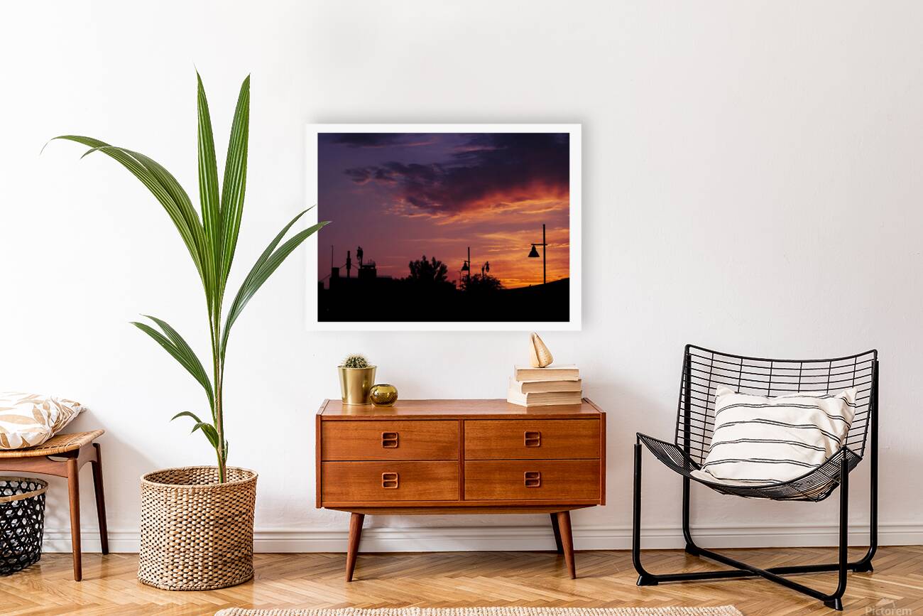 SynthSunset Reproduction