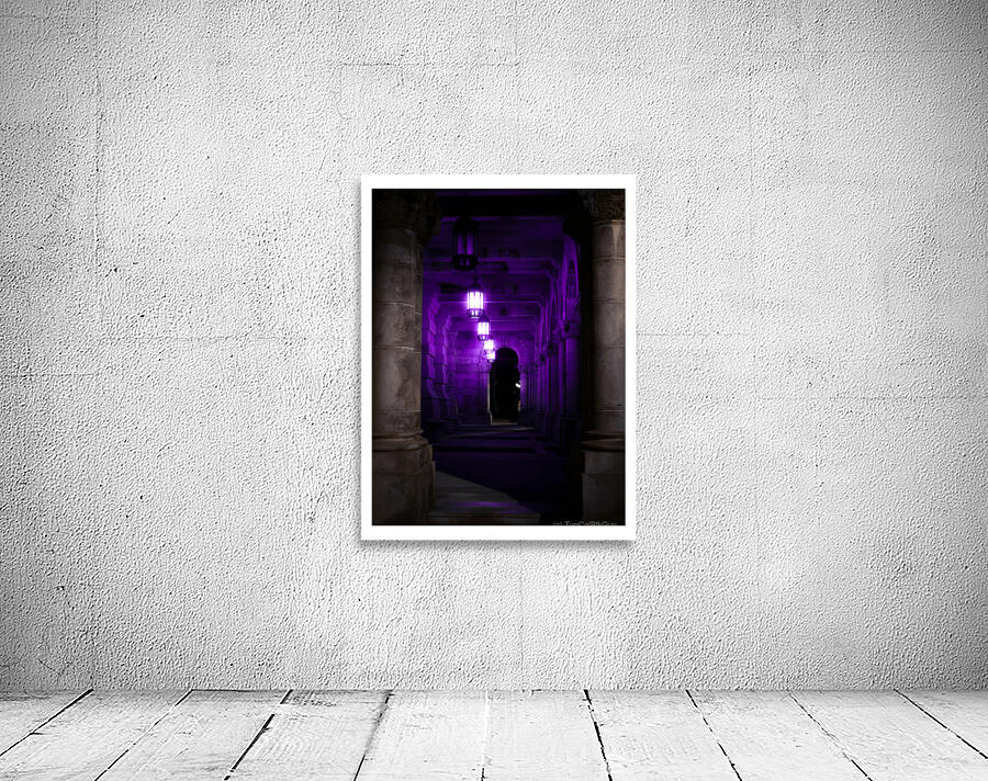 Purple Reign  Wall Preview