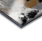 IMG 0082 Acrylic print