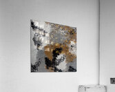 IMG 0082 Acrylic Print