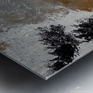 IMG 0082 Metal print