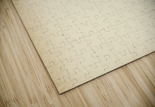 Skeleton Hand Tyler Porpora puzzle