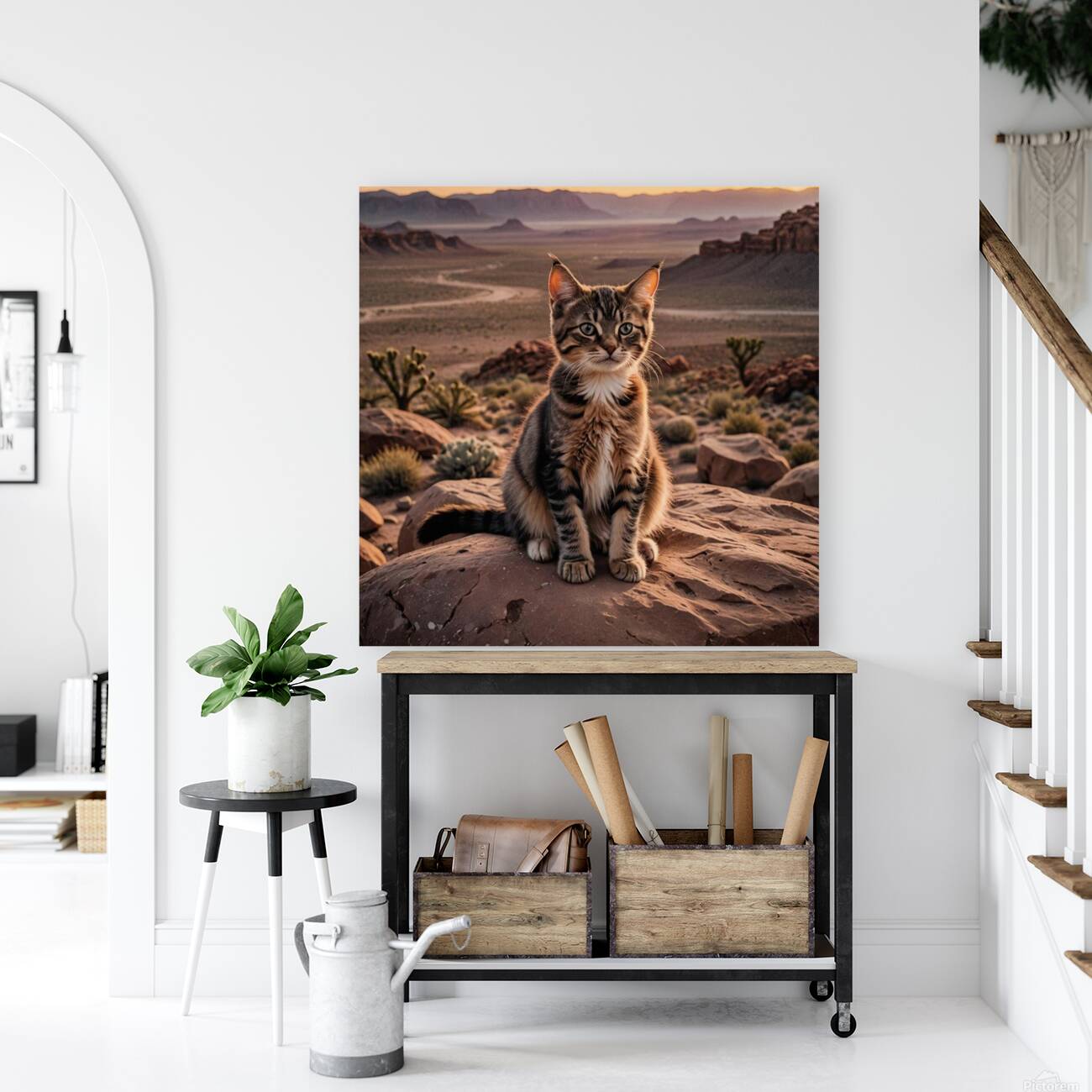 Cat in desert Reproduction