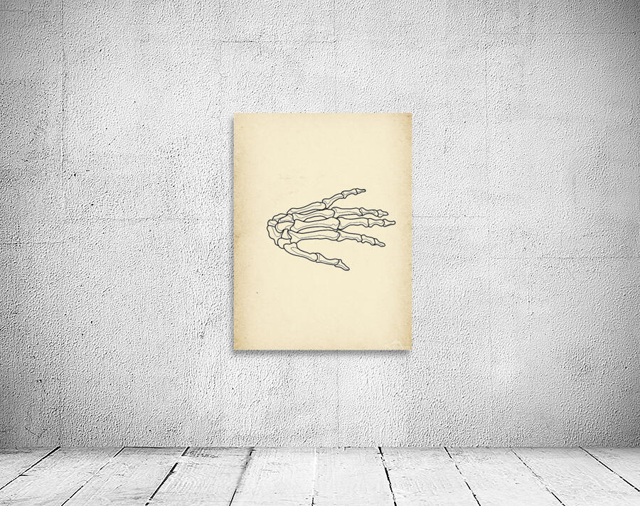 Skeleton Hand Wall Preview