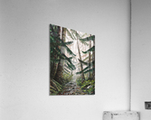 Misty path Acrylic Print
