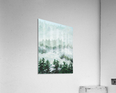 Deep Forests Acrylic Print