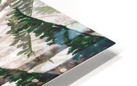 Misty path HD Metal print