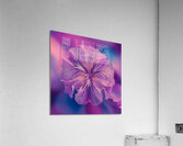a stunning close up photograph of a delicate vibr Acrylic Print
