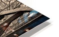 trust HD Metal print