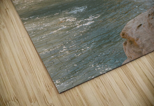 Sunset Cliffs Cassandra Gomez puzzle