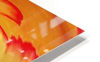 Plume tulipe HD Metal print