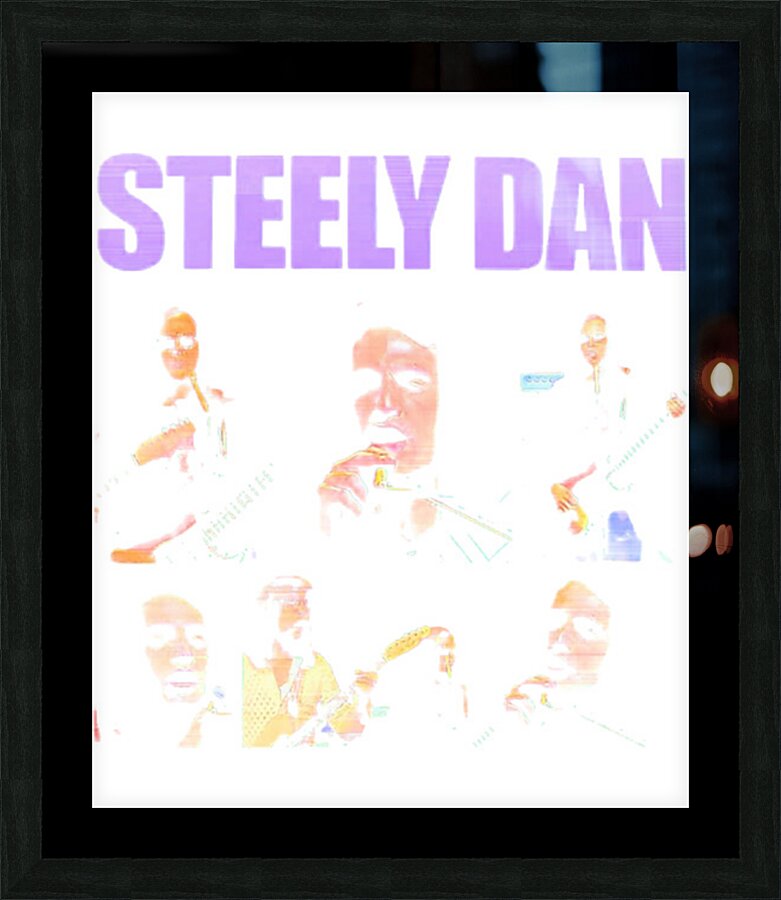Steely Dan 48 Picture Frame print