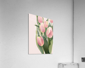tulip Acrylic Print