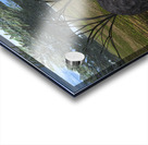 A l ombre des accacias Acrylic print