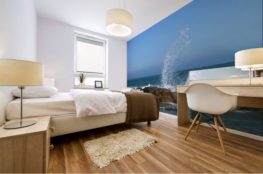 Aquascencion Mural print