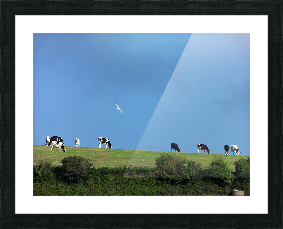 ciel aux vaches Picture Frame print