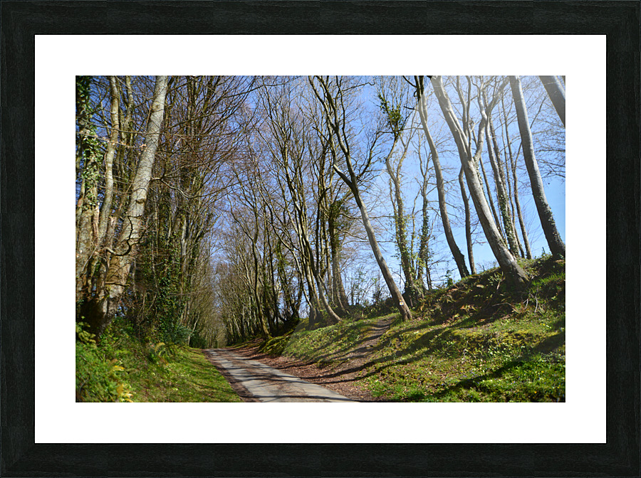 wooded path Picture Frame print