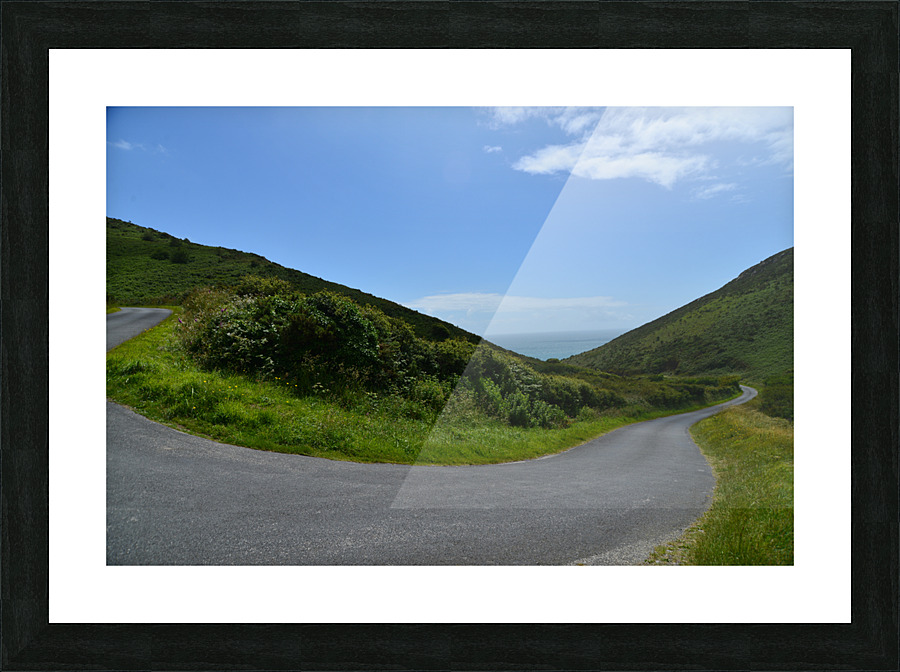 serpent d asphalte Picture Frame print