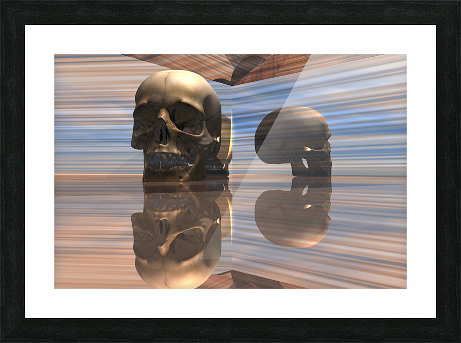 Sapiens Picture Frame print