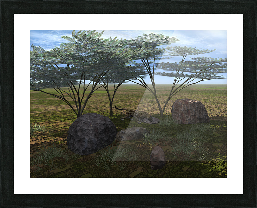 A l ombre des accacias Picture Frame print