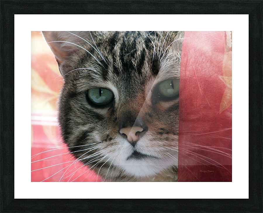 malou01 Picture Frame print