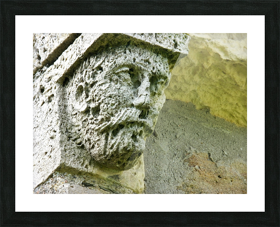 Corbeau sculpt   Picture Frame print