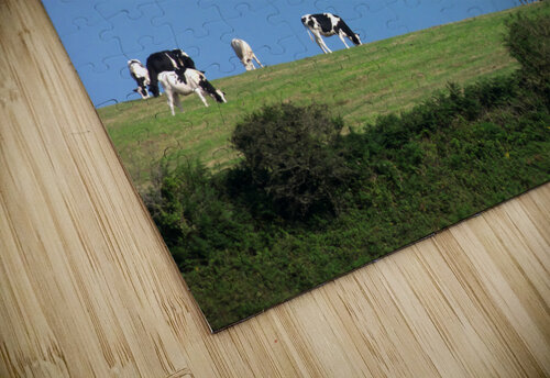 ciel aux vaches ch Ragaine puzzle