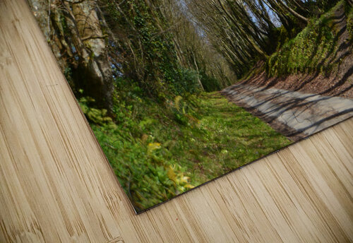 wooded path ch Ragaine puzzle