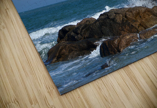 Aquascencion ch Ragaine puzzle