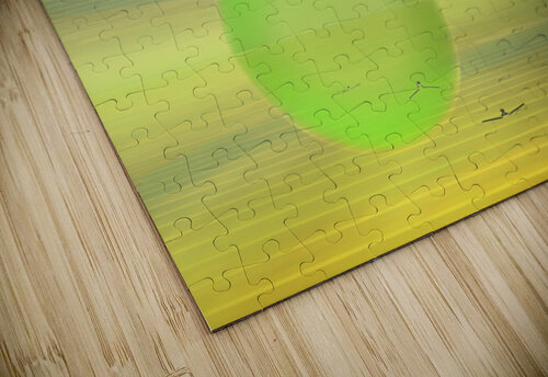 LIBERTY ch Ragaine puzzle