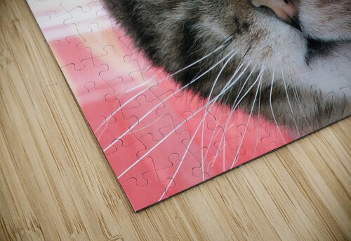 malou01 ch Ragaine puzzle