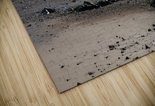 Seul sur le sable ch Ragaine puzzle